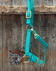Teal Nylon Horse Halter – Bronc Noseband with Western Conchos NH107