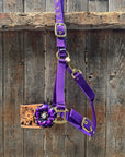 Purple Nylon Horse Halter – Bronc Noseband with Crystal Conchos NH109