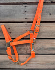 Orange Nylon Horse Halter NHORA