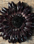 Hand Painted Leather Flowers - Daisies