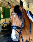 Halter Ego® Crystal Patent Browband - Dusk To Dawn