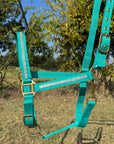 Teal Bling Nylon Horse Halter BNHTEAL