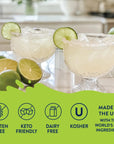 Sugar Free Margarita Mix