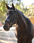 The Palermo Black Patent Leather Snaffle with Brown Padding