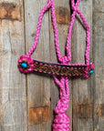 Pink Mule Tape Halter - Turquoise