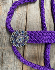 Purple Mule Tape Halter - Antique Silver