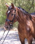 The Palermo Black Patent Leather Snaffle with Brown Padding