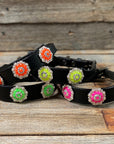DC18- Neon Concho Dog Collar