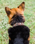DC30 Copper Rose Dog Collar With Clear European Crystals