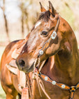 Two Tone Leaf Jet and Clear One Ear & Breastcollar Tack Set
