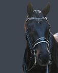 The Harlow Black Rolled Leather Double Bridle