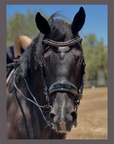 Aurelia Rose Gold Black Patent Double Bridle