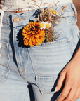 The Wanderer Flare - Gracie
