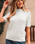 Fish Scale Textured Knit Short Sleeve Sweater