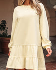 Ramona Sleeve Loose Mini Dress