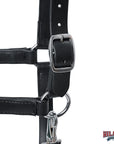 Hilason Western Horse Genuine Leather Halter with Adjustable Fit Durable Hardware Black