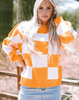 Ashley Checkered Bishop Sleeve Sweater