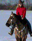 Whipstitch Headstall -Golden & Daisy