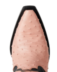 Jolene Exotic Boot - Blush Ostrich & Jet Black