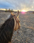 Pro Series 1 5/8" Extra Heavy Harness Slit Ear Headstall with Classic Hardware