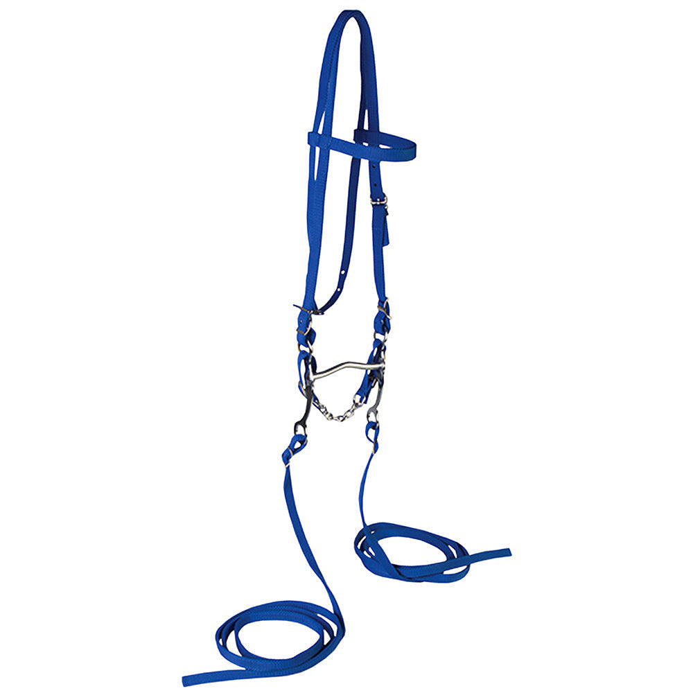 Reins & Ropes