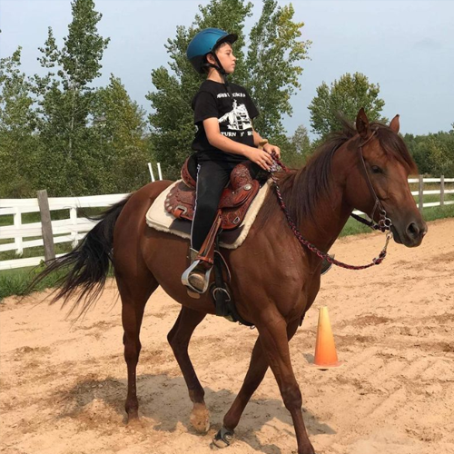 Hilason western saddle pad on horse