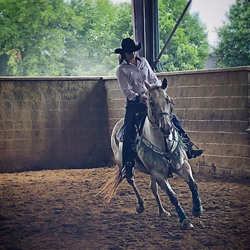Hilason bareback pad