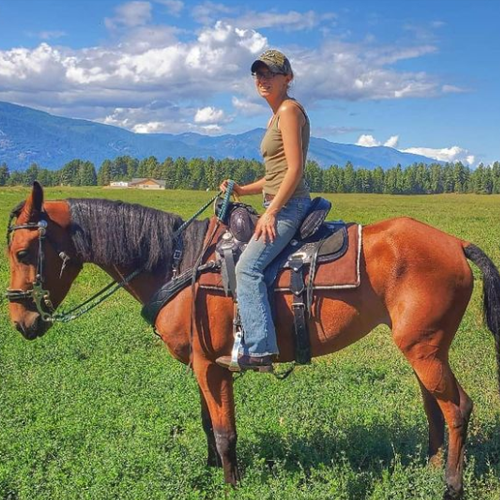 Hilason snaffle bit on horse