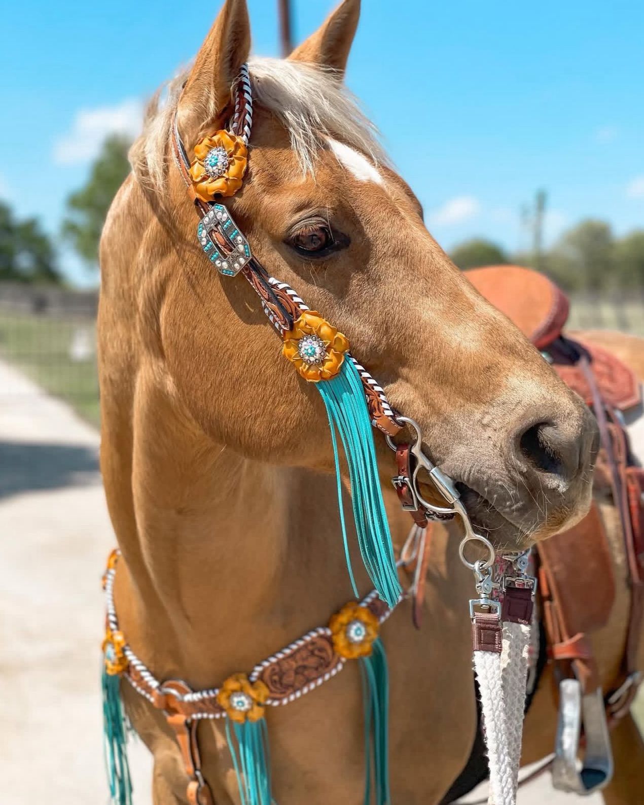 Palomino horse wearing western headstall and tack, lifestyle