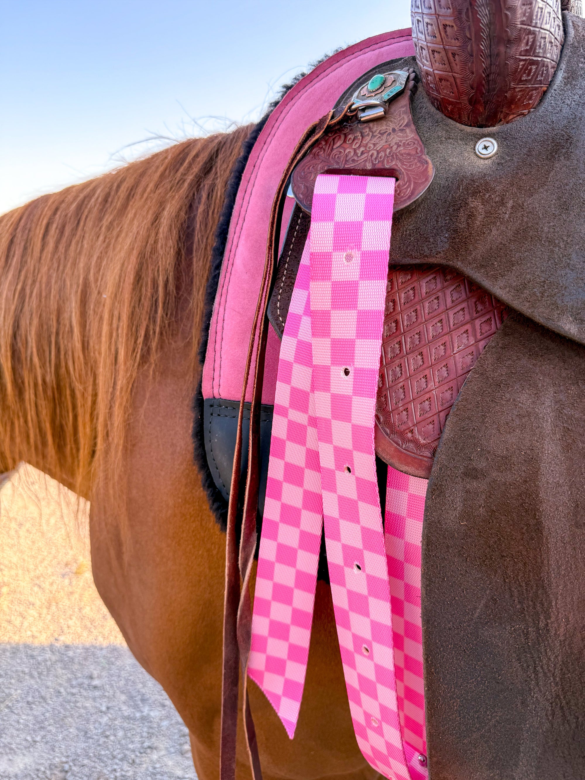 Western cinch on horse, tack lifestyle