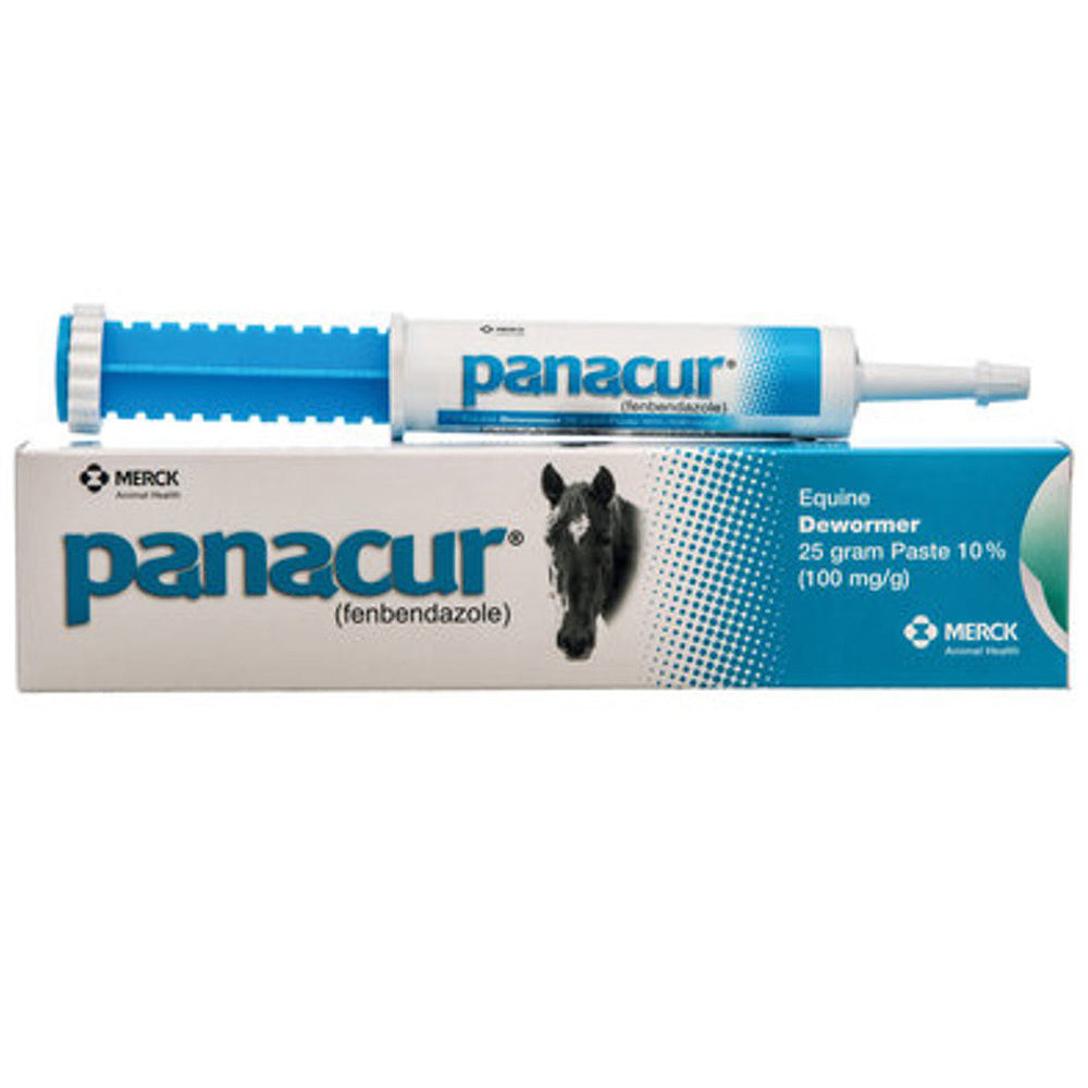 Panacur Paste Dewormer Safe Foals Pregnant Mares Stallions 25 Gm