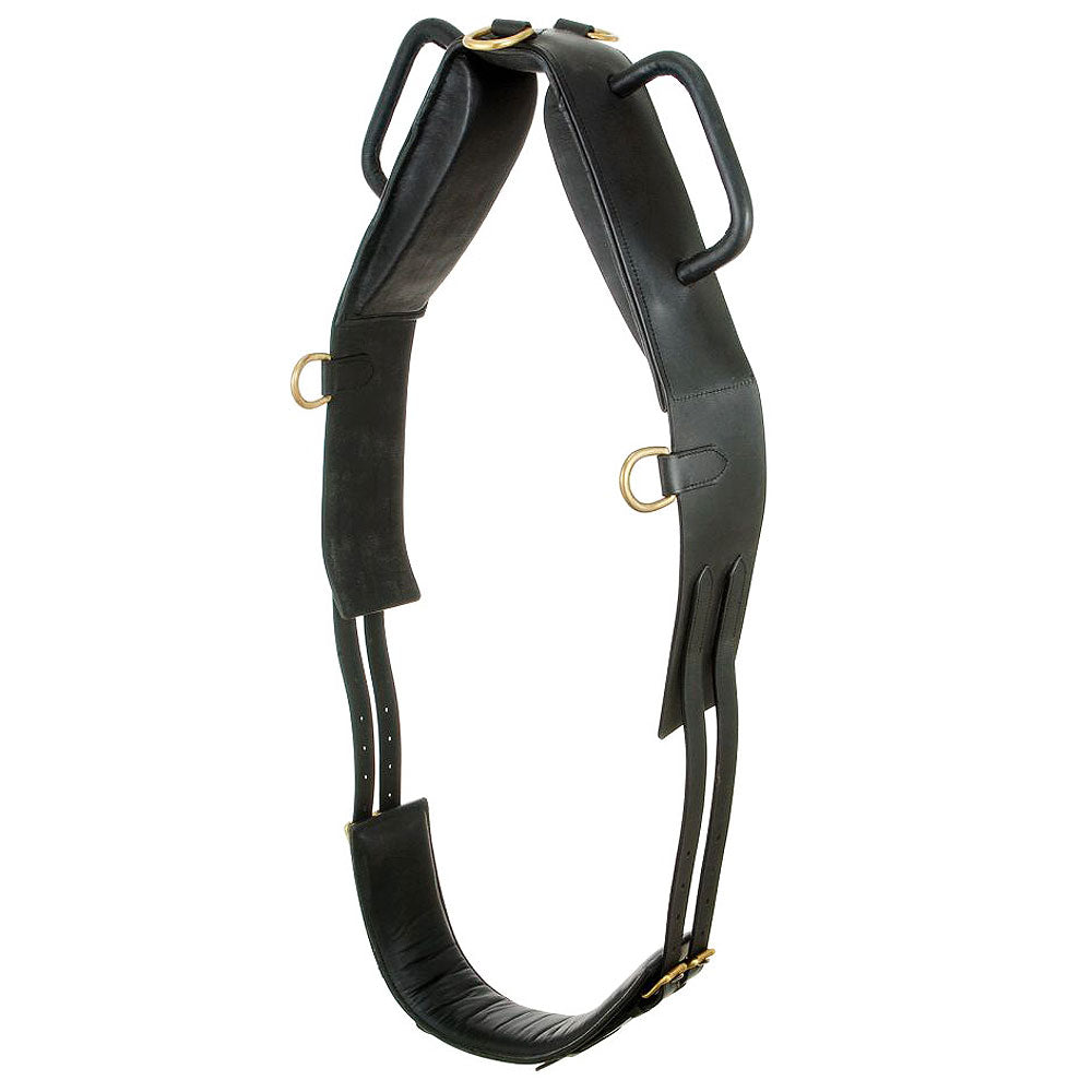 Tough 1 Performers 1St Choice Vaulting Horse Surcingle Black