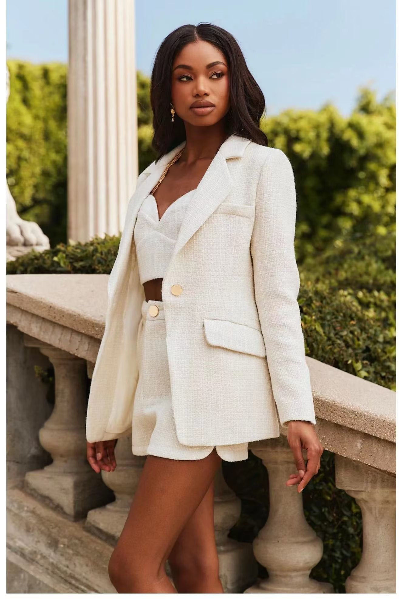 Chic Blazer Suit Ensemble