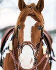 ExionPro Twin Designer Fancy Stitched English Snaffle Bridle with Reins