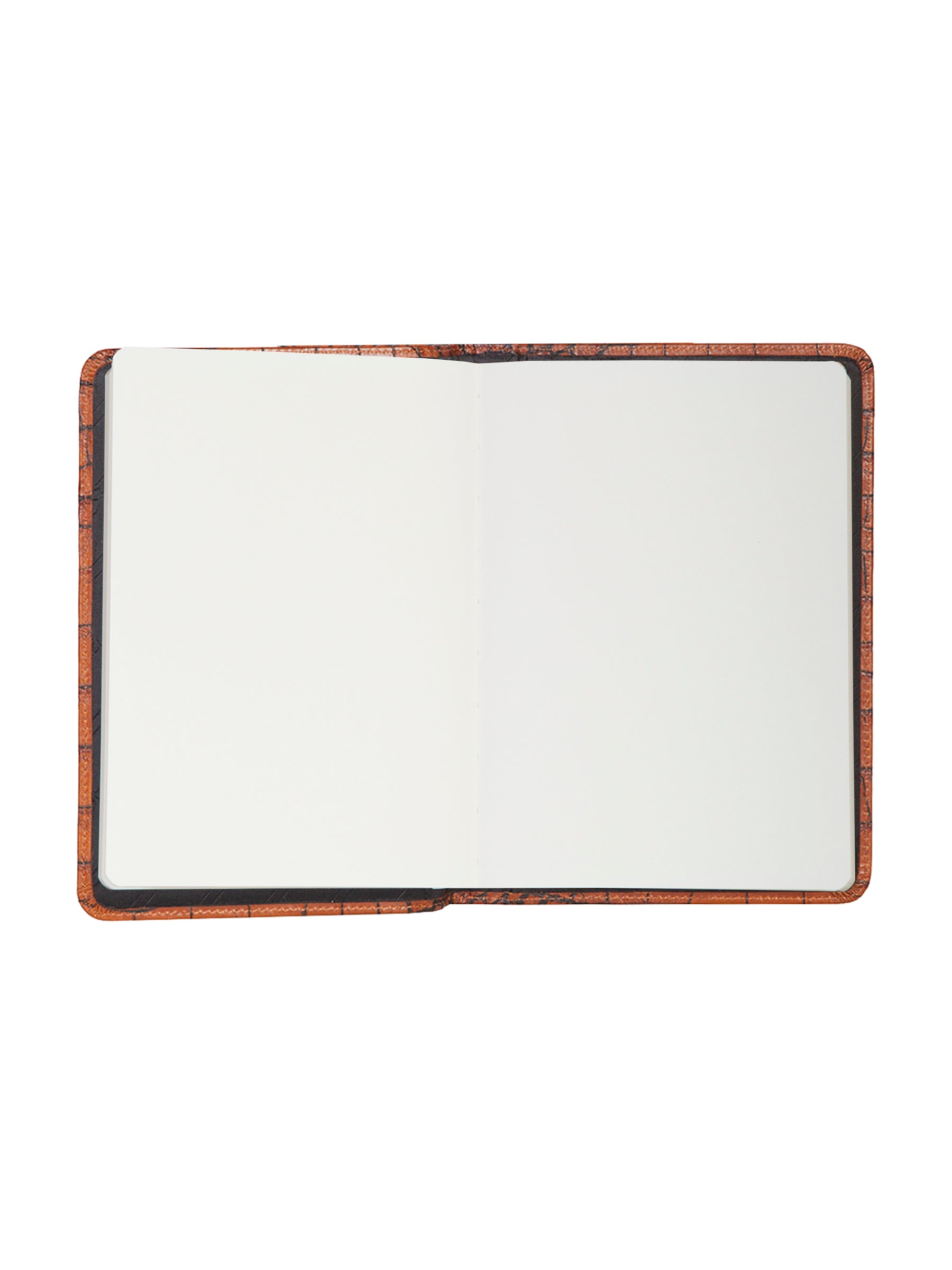 Blank Manuscript - 1046B