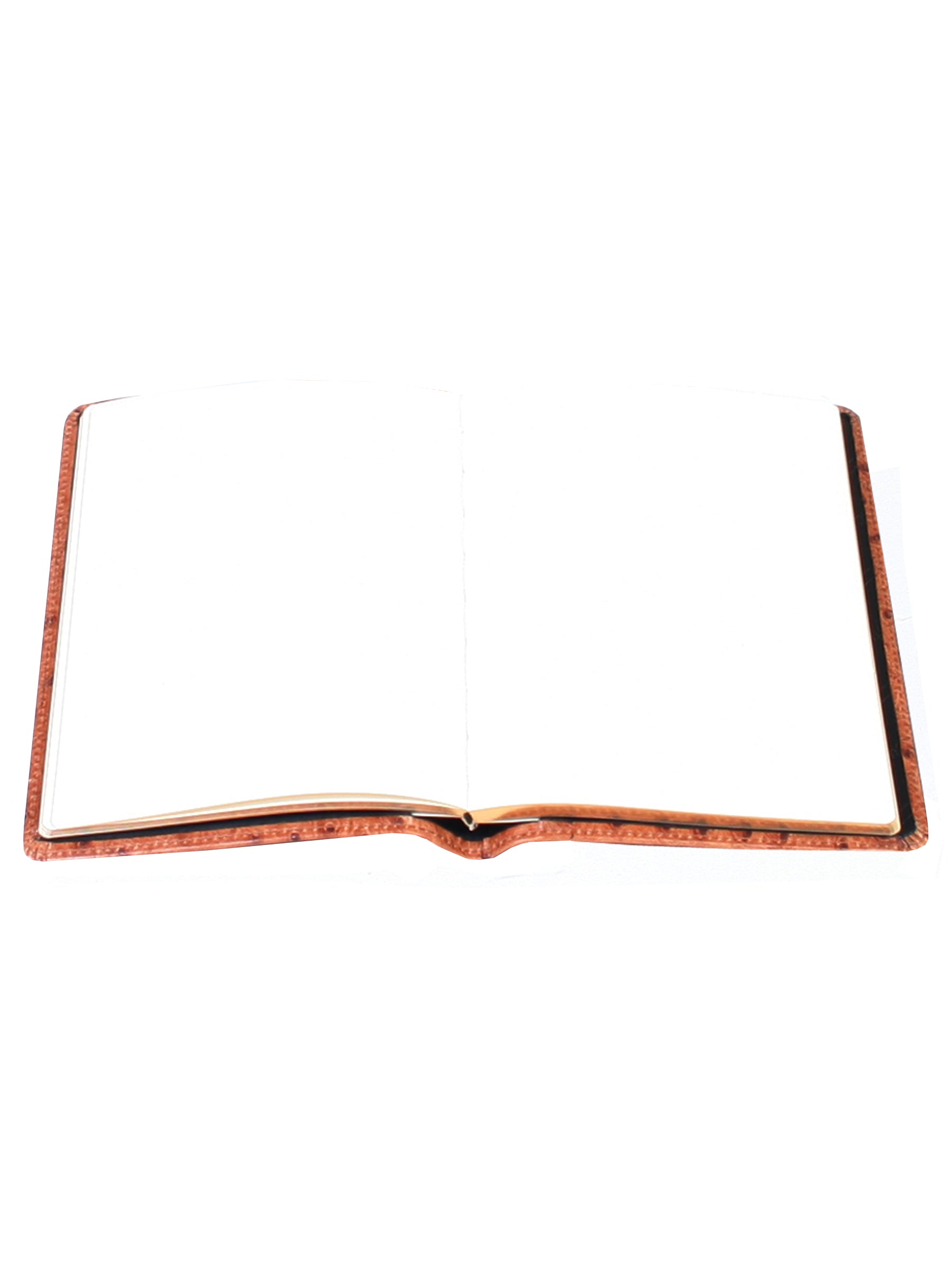 Blank Manuscript - 1046B