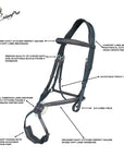 Replacement Noseband of ExionPro Broad Crownpiece Designer Fully Adjustable Figure 8 Bridle