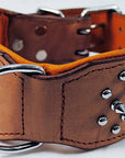 Hilason Western Style Heavy Duty Spiked Leather Pet Dog Collar