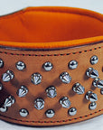 Hilason Western Style Heavy Duty Spiked Leather Pet Dog Collar