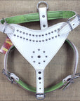 Large Leather Dog Harness Padded Genuine White Hilason