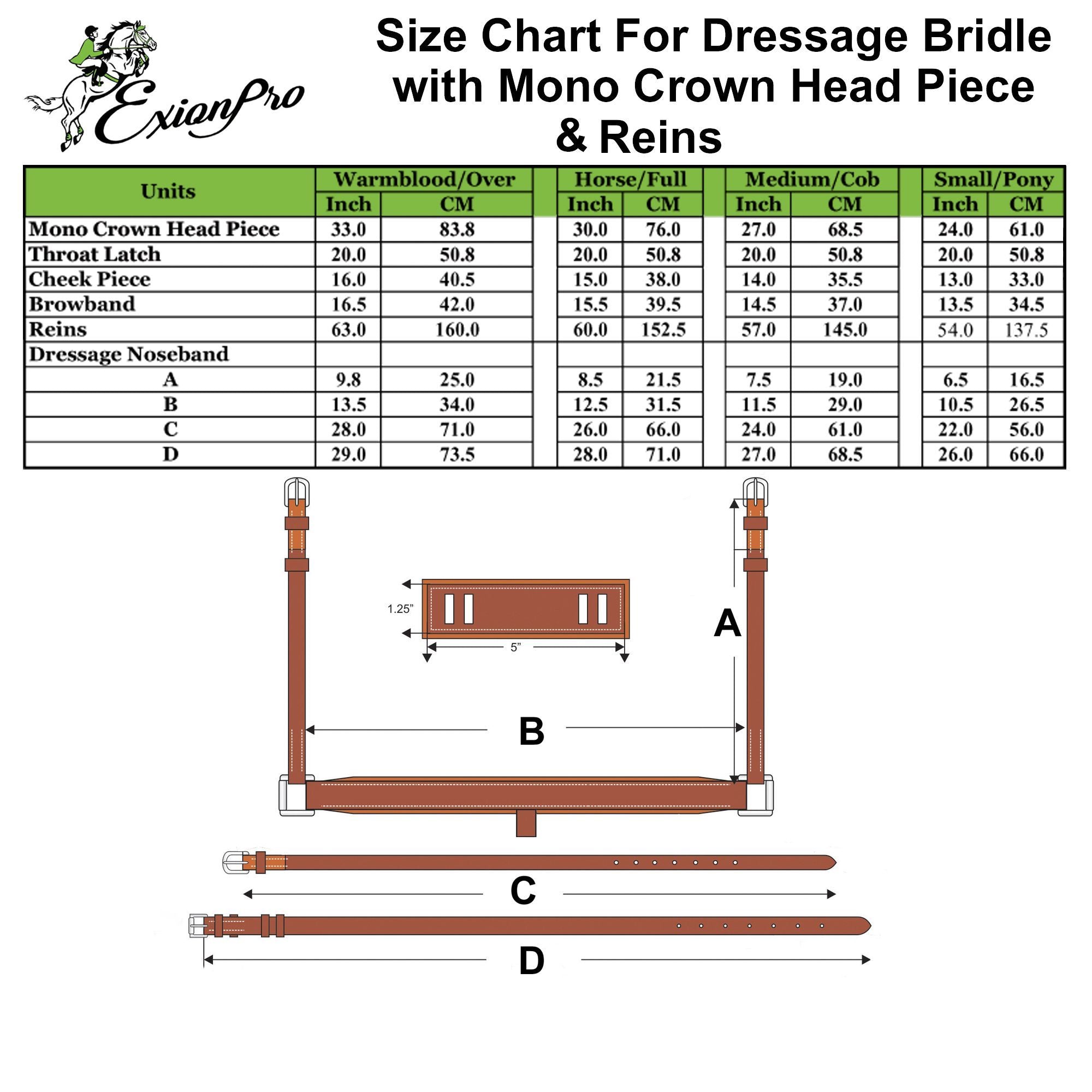 ExionPro Dressage Bridle: Mono Crown, Raised Browband, Anatomical Noseband, Detachable Flash &amp; Web Reins