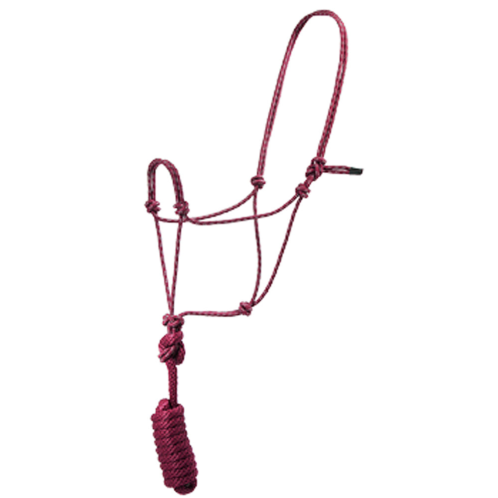 Hilason Basic Two-Toned Poly Rope Halter with 8' Lead – Durable, Lightweight &amp; Hardware-Free
