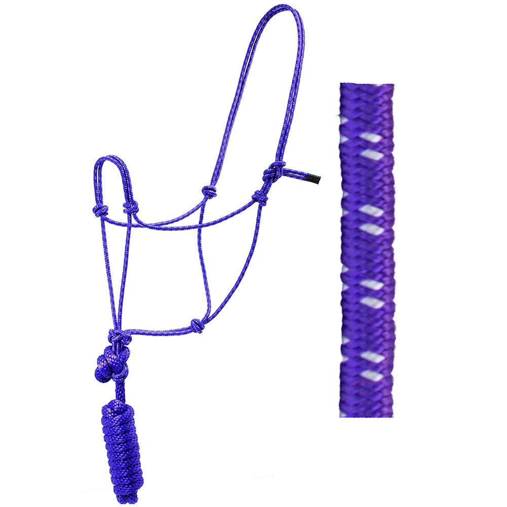 Hilason Basic Two-Toned Poly Rope Halter with 8' Lead – Durable, Lightweight &amp; Hardware-Free