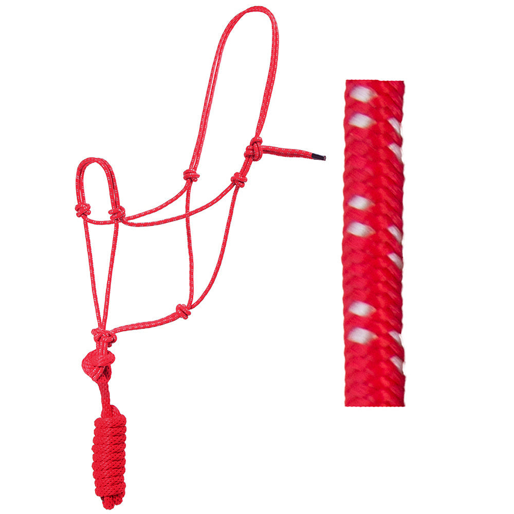 Hilason Basic Two-Toned Poly Rope Halter with 8' Lead – Durable, Lightweight &amp; Hardware-Free