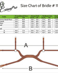 ExionPro Anatomical Combined Flash Bridle with Reins