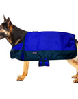 Winter Turnout Waterproof Dog Blanket With 200 GSM Insulation For Extreme Weather