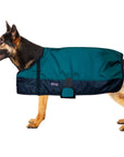 Winter Turnout Waterproof Dog Blanket With 200 GSM Insulation For Extreme Weather