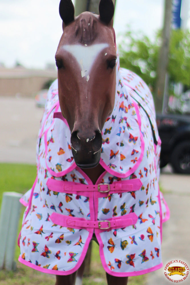 HILASON Horse Fly Sheet UV Protect Breathable Mesh Bug Mosquito Spring | Summer Horse Rug | Fly Rug