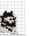 7 Ft X 6 Ft Genuine Brazilian Cowhide Skin Rug by Hilason | Hair-On Leather Home Décor Carpet