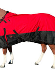Weatherproof Winter Ready Turnout Blanket For Miniature Horses In Harsh Conditions